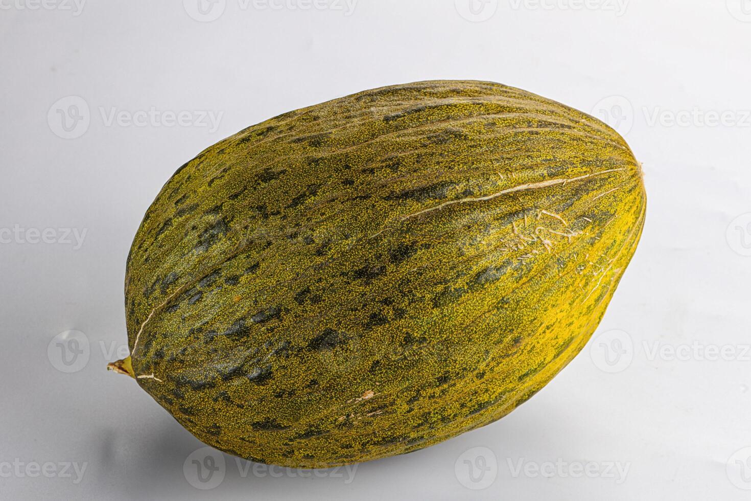 Spanish melon piel del sapo photo