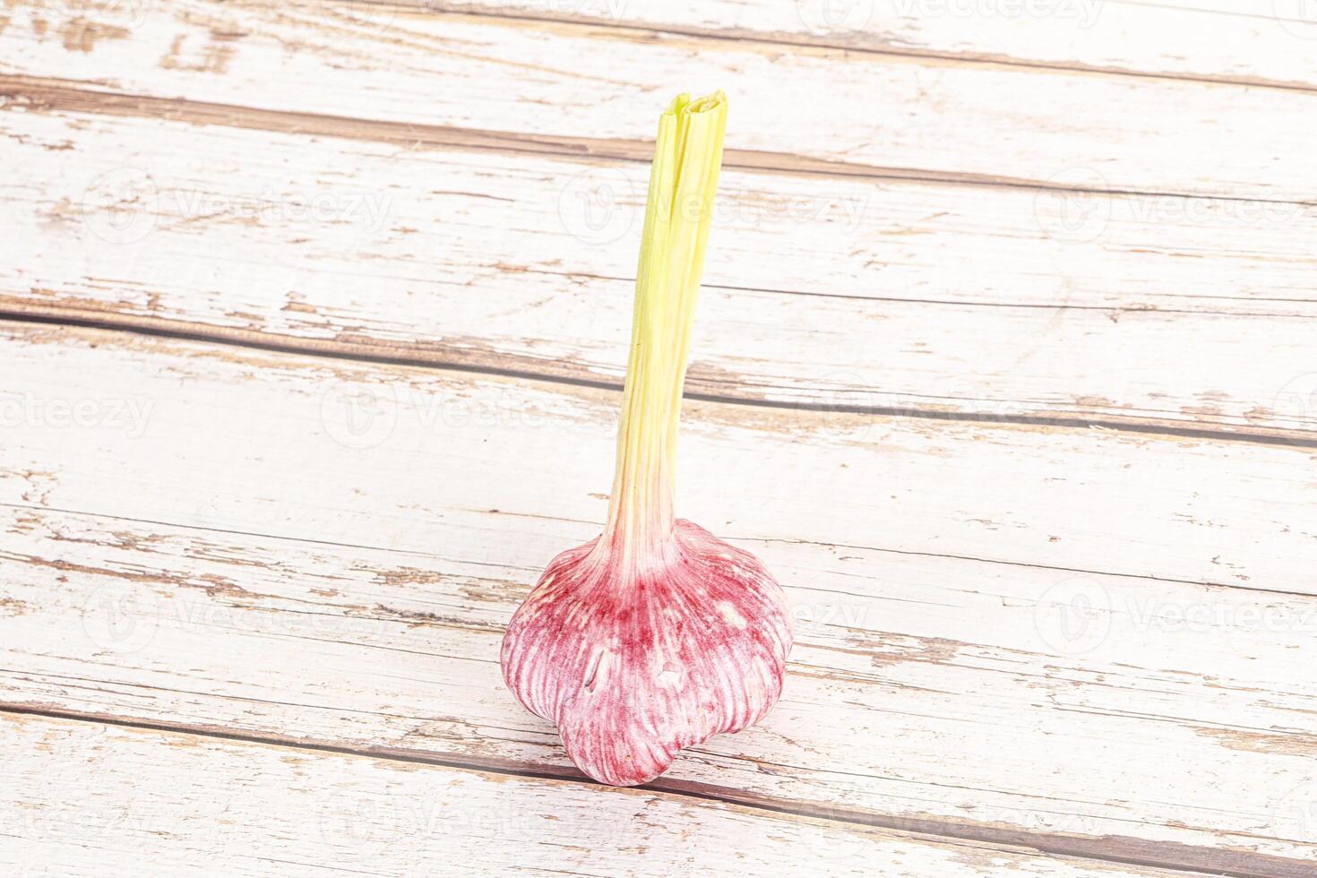 Young fresh garlic for cooking photo