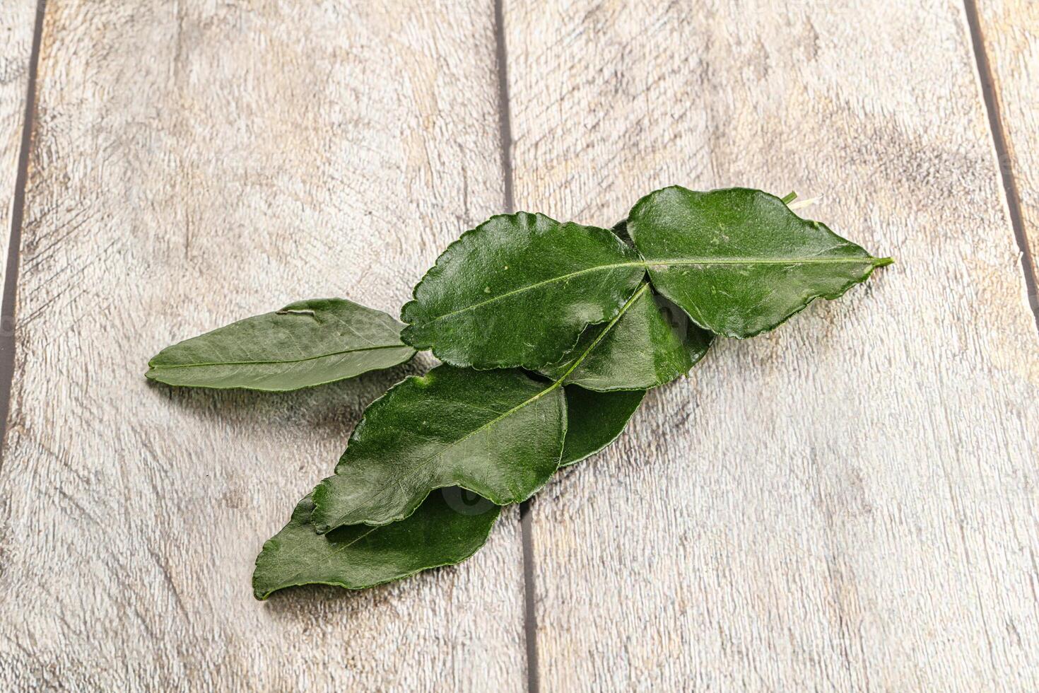 Aroma seasoning kaffir lime leaves photo