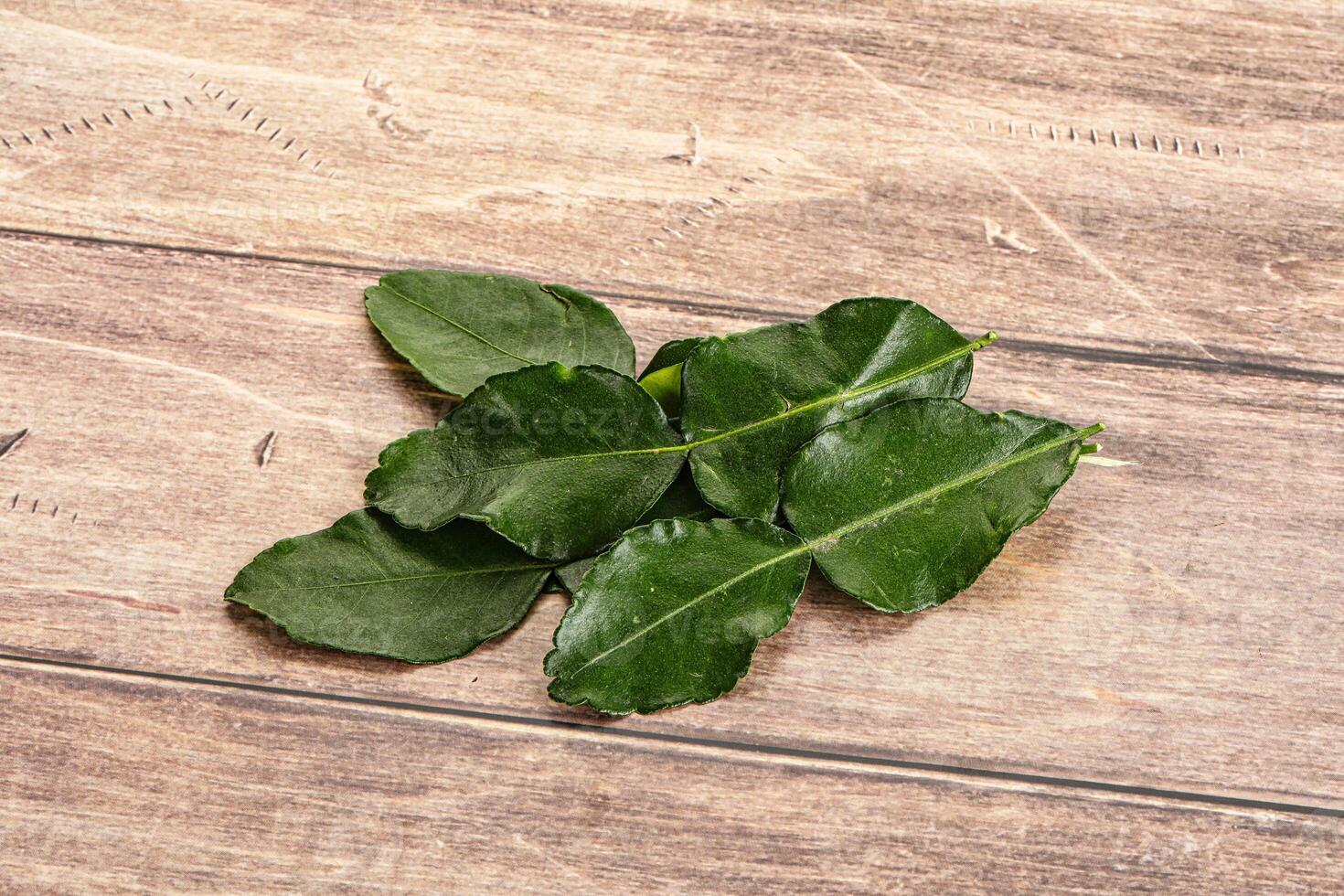 Aroma seasoning kaffir lime leaves photo