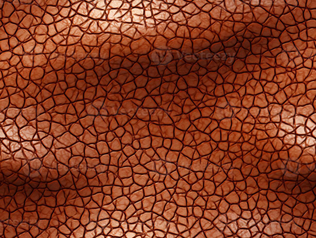Close-up snake leather with a smooth, slightly uneven texture. photo