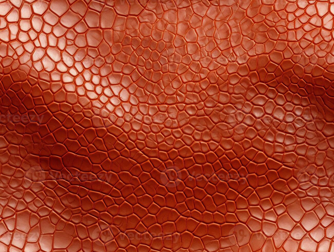 Close-up snake leather with a smooth, slightly uneven texture. photo
