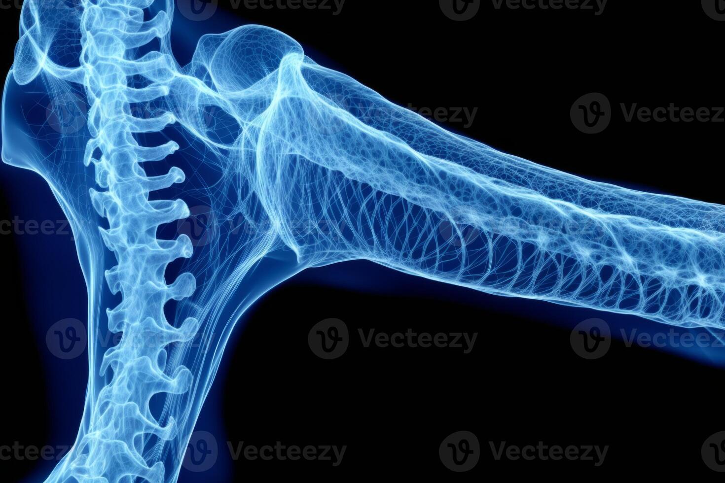 Bone tissue human skeleton under microscope cells structure medical science biology background texture magnification research structure health microbiology internal materials organs photo