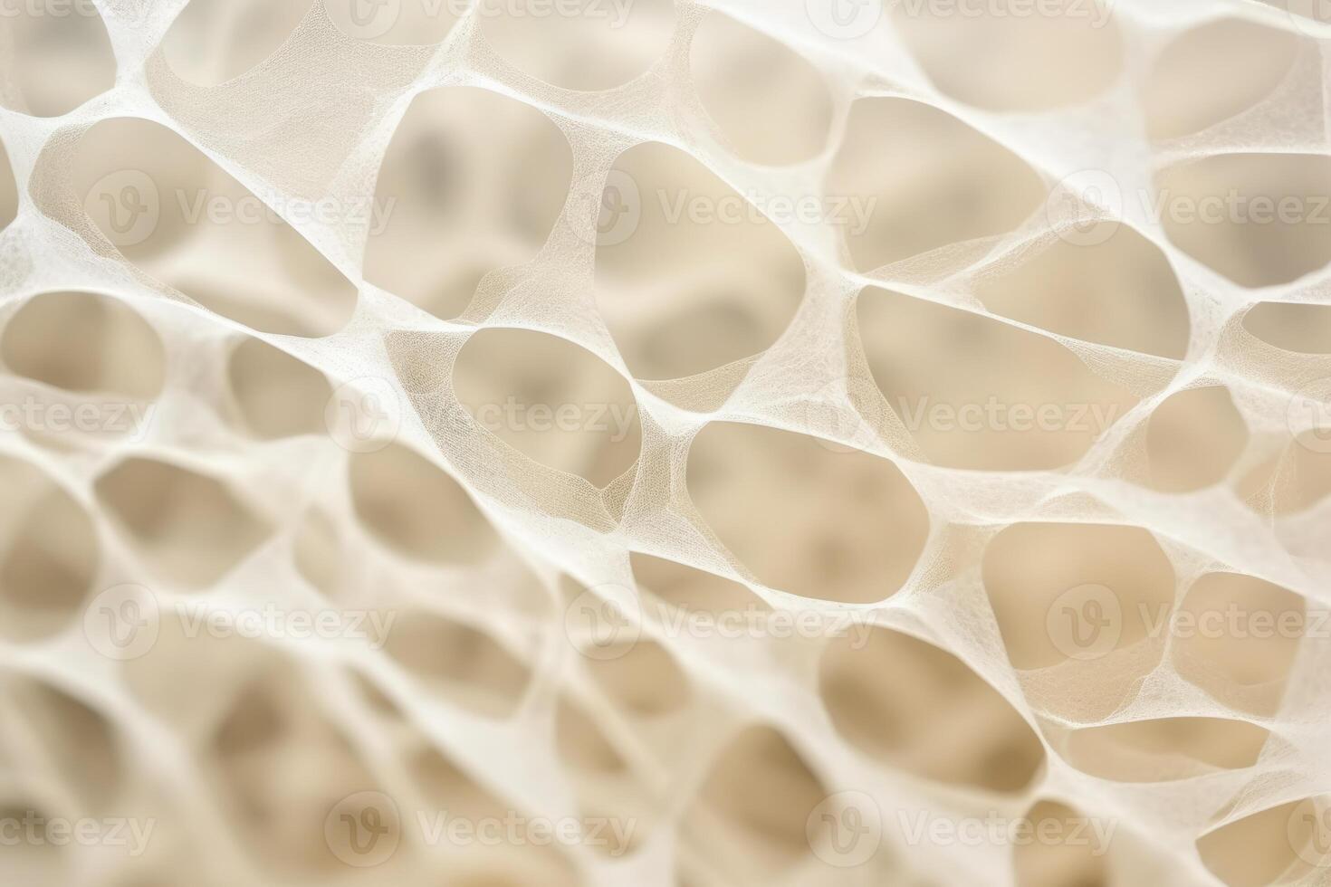 Bone tissue human skeleton under microscope cells structure medical science biology background texture magnification research structure health microbiology internal materials organs photo