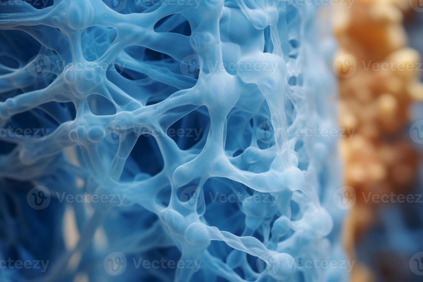 Bone tissue human skeleton under microscope cells structure medical science biology background texture magnification research structure health microbiology internal materials organs photo