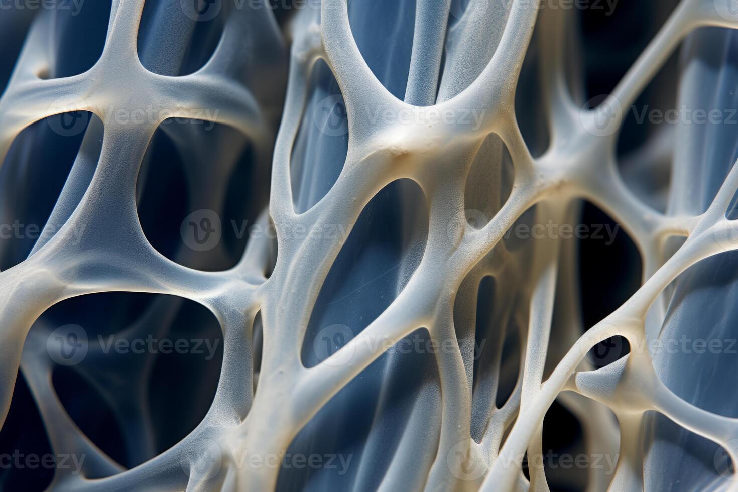Bone tissue human skeleton under microscope cells structure medical science biology background texture magnification research structure health microbiology internal materials organs photo