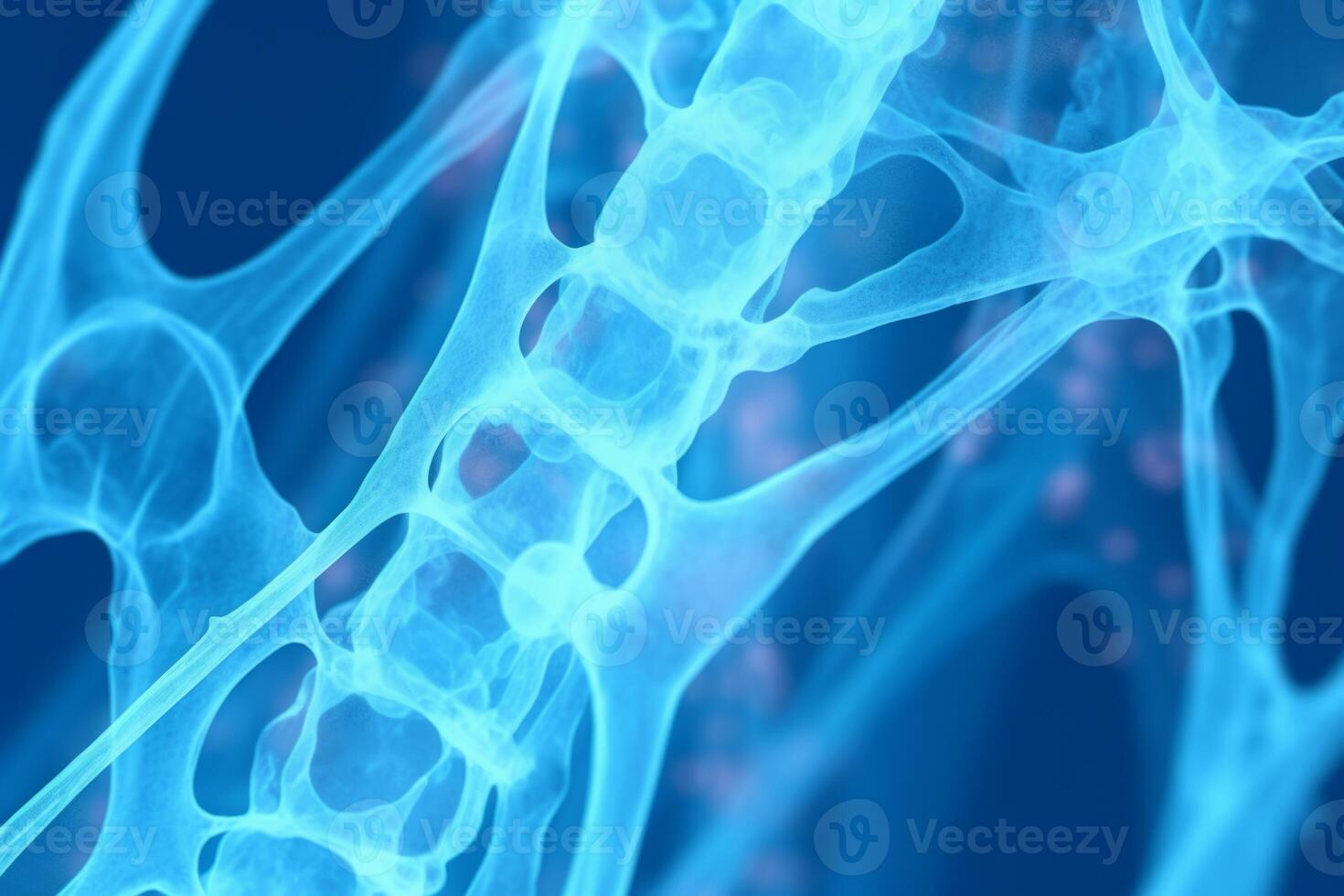 Bone tissue human skeleton under microscope cells structure medical science biology background texture magnification research structure health microbiology internal materials organs photo