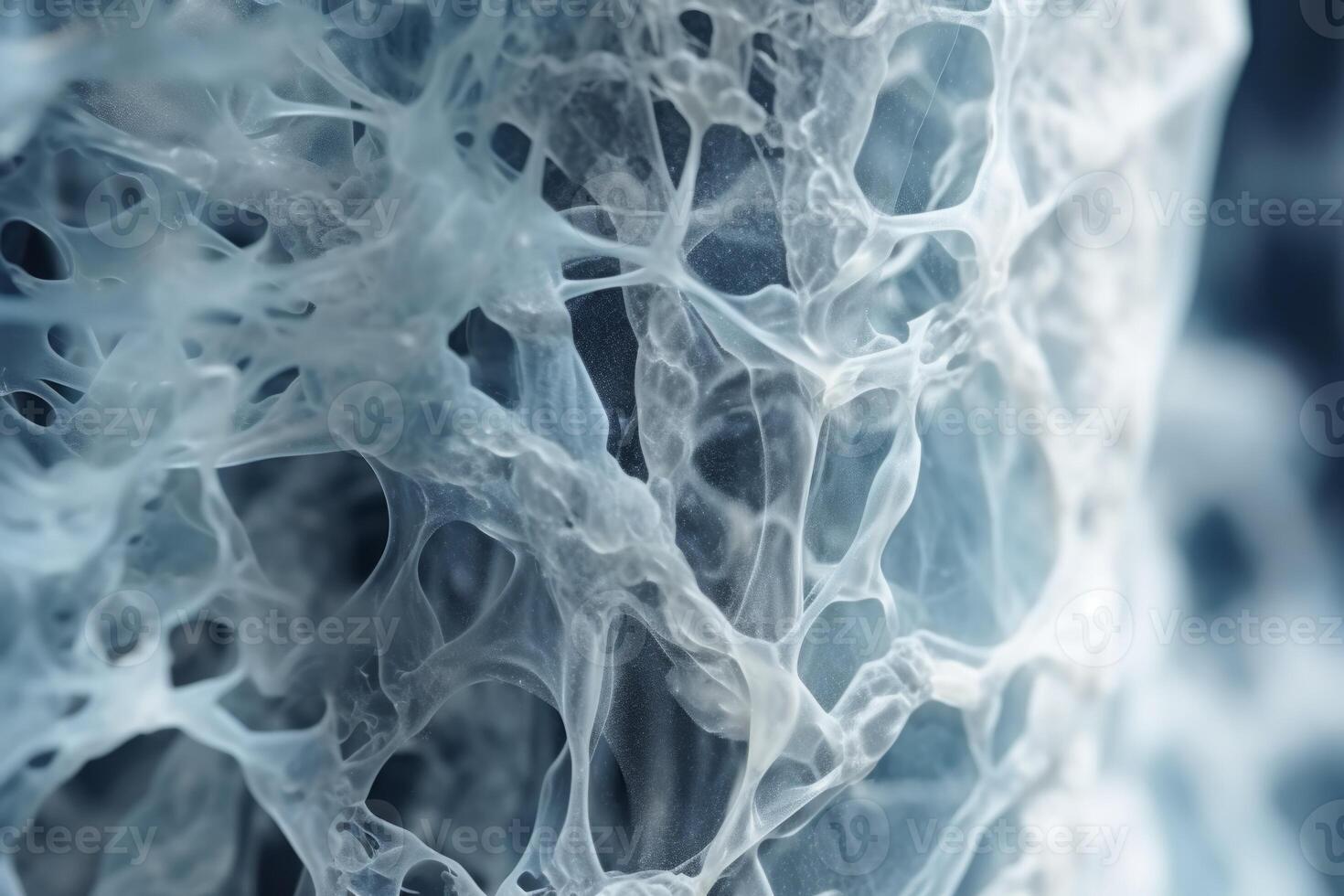 Bone tissue human skeleton under microscope cells structure medical science biology background texture magnification research structure health microbiology internal materials organs photo
