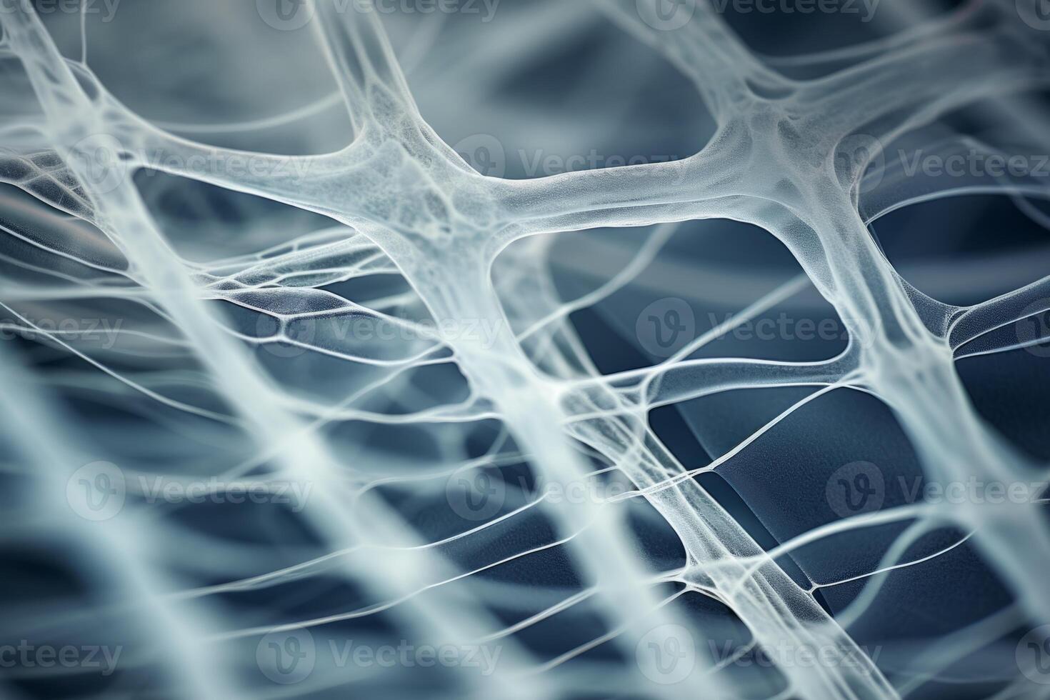 Bone tissue human skeleton under microscope cells structure medical science biology background texture magnification research structure health microbiology internal materials organs photo