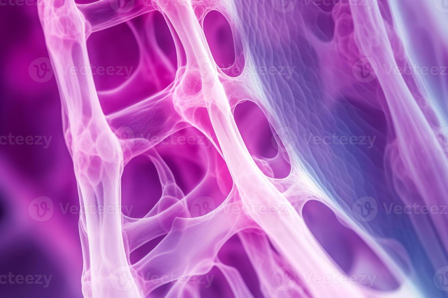 Bone tissue human skeleton under microscope cells structure medical science biology background texture magnification research structure health microbiology internal materials organs photo