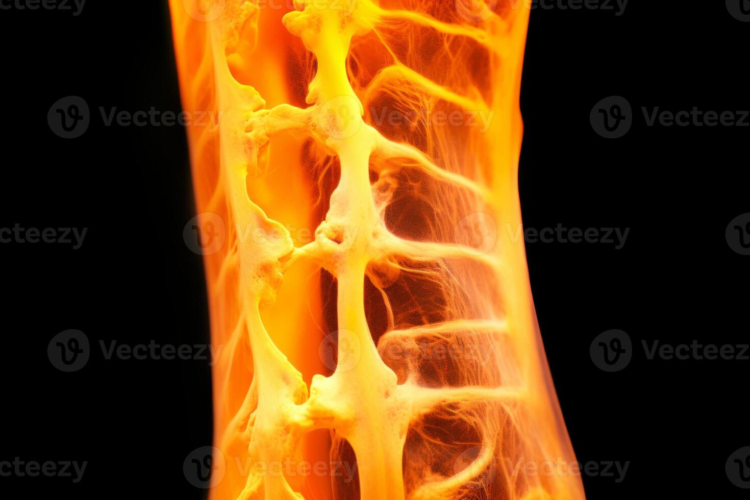 Bone tissue human skeleton under microscope cells structure medical science biology background texture magnification research structure health microbiology internal materials organs photo