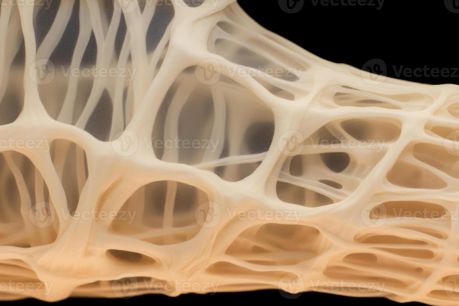 Bone tissue human skeleton under microscope cells structure medical science biology background texture magnification research structure health microbiology internal materials organs photo