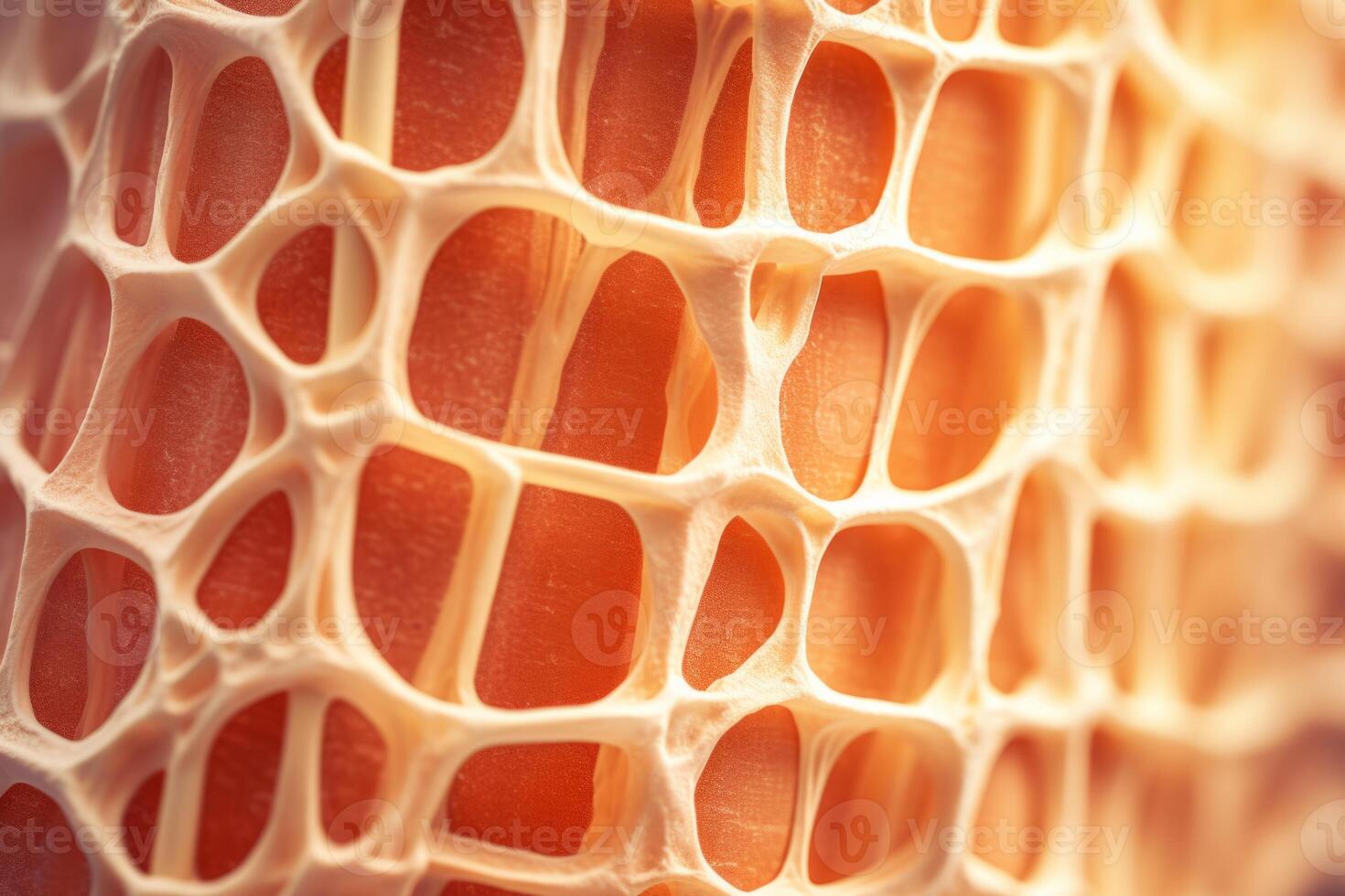 Bone tissue human skeleton under microscope cells structure medical science biology background texture magnification research structure health microbiology internal materials organs photo