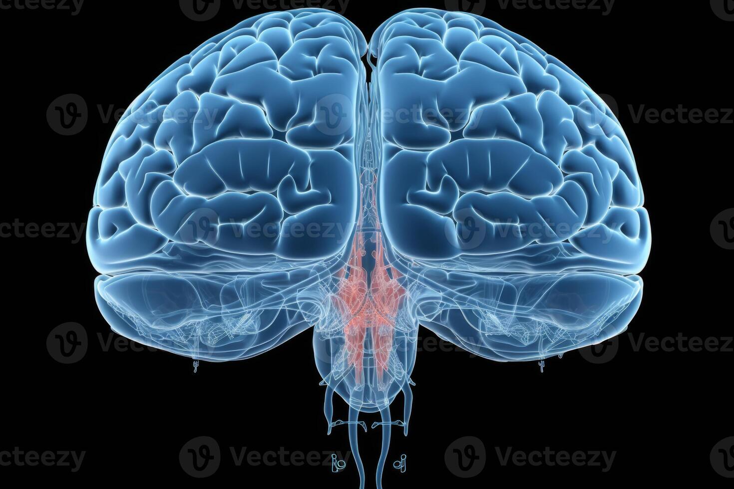 Side view colorful glowing neon human brain parts intelligence scan anatomy neurology black background. Medical science artificial intelligence futuristic glowing plexus structure digital photo