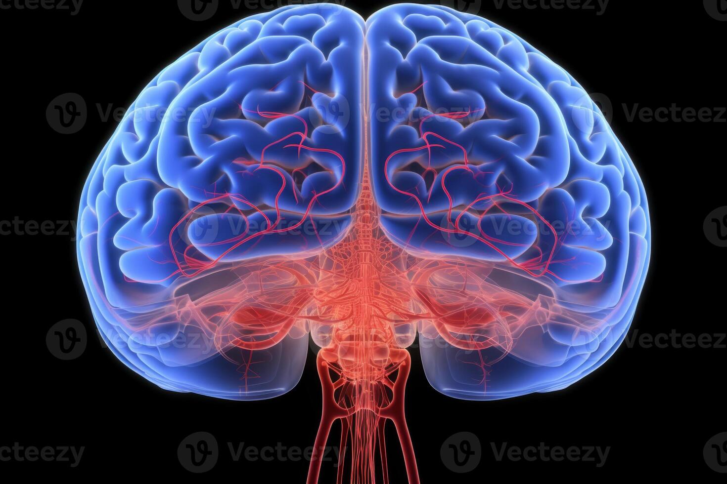 Side view colorful glowing neon human brain parts intelligence scan anatomy neurology black background. Medical science artificial intelligence futuristic glowing plexus structure digital photo