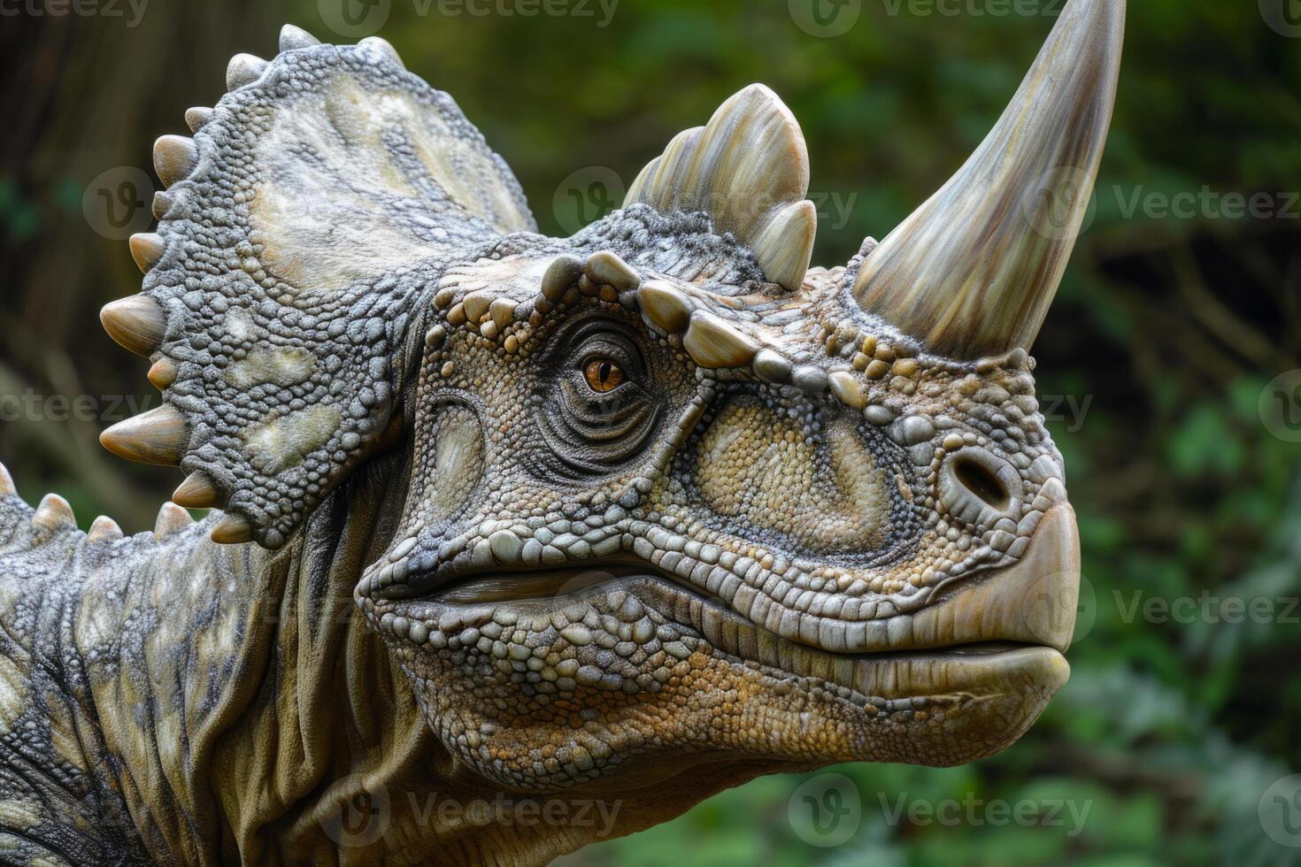 Triceratops portrait herbivorous ceratopsid large massive horn reptile dinosaur realistic prehistoric extinct animal standing outdoors nature forest Jurassic World jungle background. Ancient creature photo
