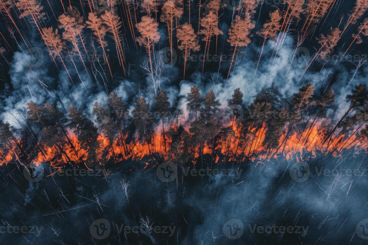Wildforest fire burning forest trees eecological disaster smoke aerial view from helicopter danger death animals damage hazard blaze pollution tragedy photo