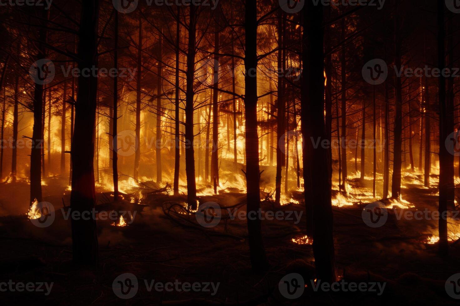 Wildforest fire burning forest trees eecological disaster smoke aerial view from helicopter danger death animals damage hazard blaze pollution tragedy photo