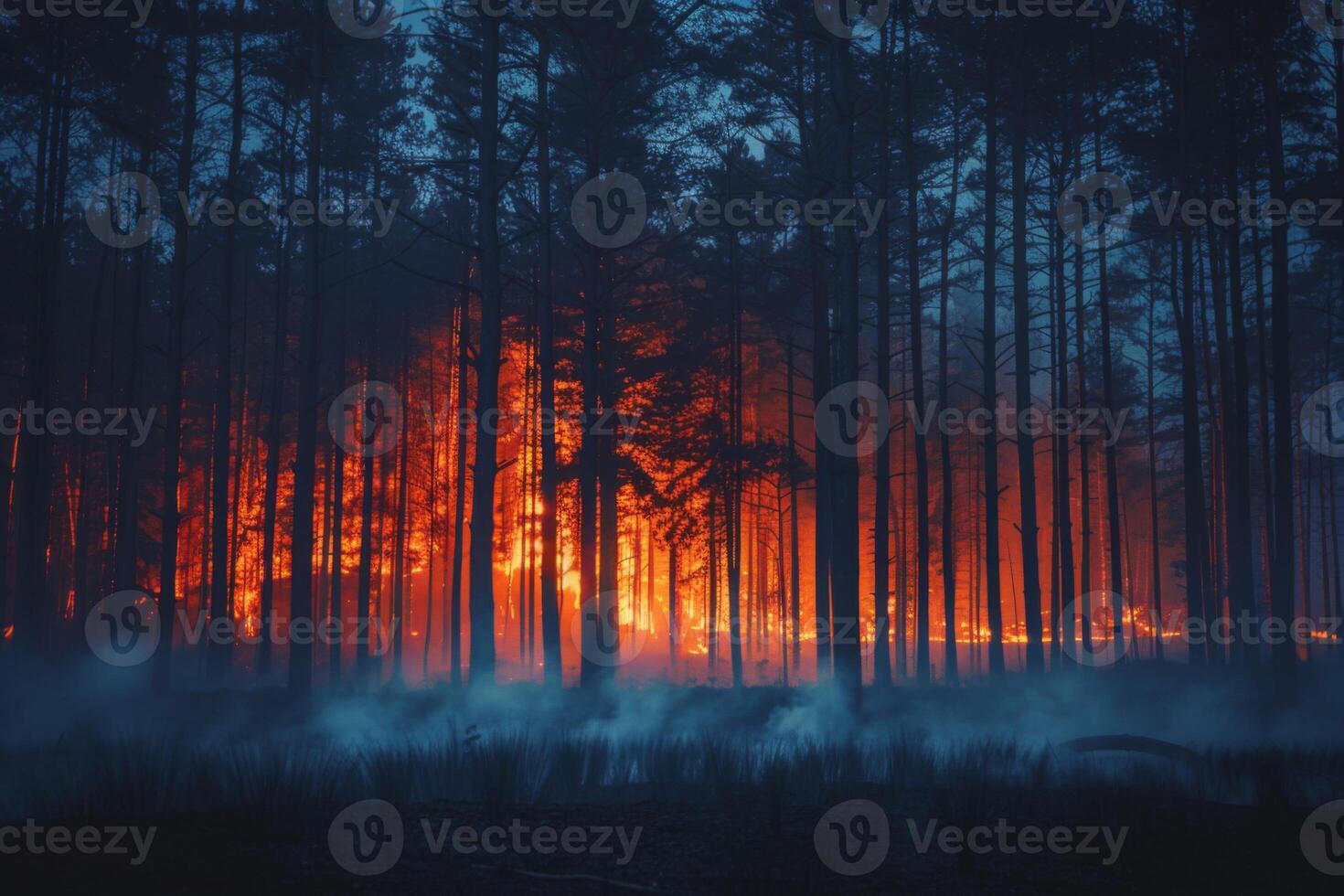 Wildforest fire burning forest trees eecological disaster smoke aerial view from helicopter danger death animals damage hazard blaze pollution tragedy photo