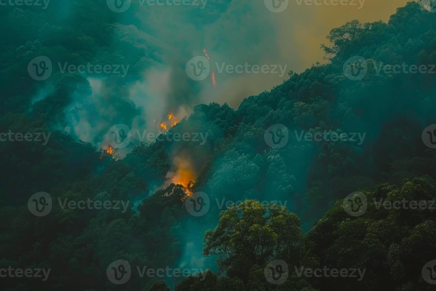 Wildforest fire burning forest trees eecological disaster smoke aerial view from helicopter danger death animals damage hazard blaze pollution tragedy photo