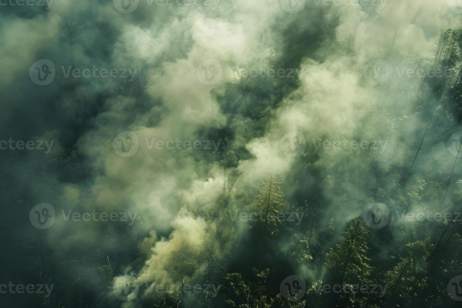 Wildforest fire burning forest trees eecological disaster smoke aerial view from helicopter danger death animals damage hazard blaze pollution tragedy photo
