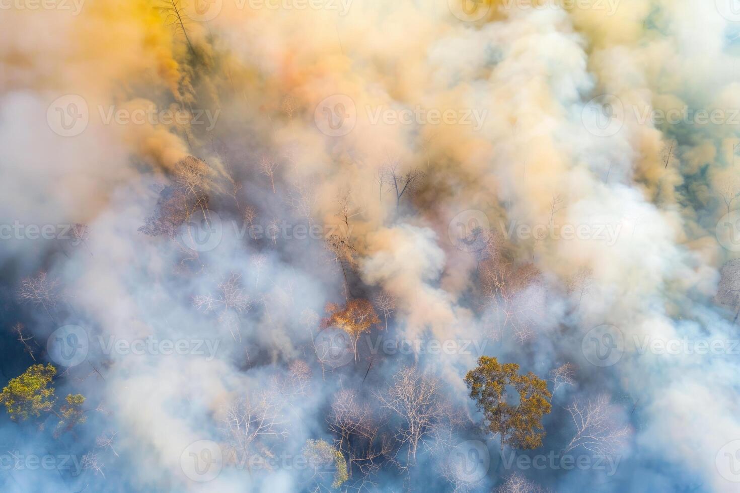 Wildforest fire burning forest trees eecological disaster smoke aerial view from helicopter danger death animals damage hazard blaze pollution tragedy photo