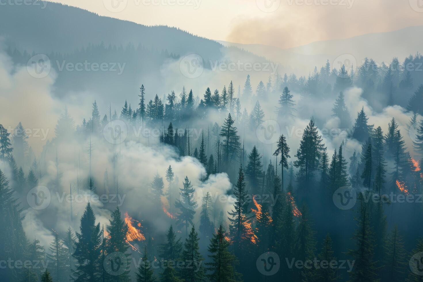 Wildforest fire burning forest trees eecological disaster smoke aerial view from helicopter danger death animals damage hazard blaze pollution tragedy photo