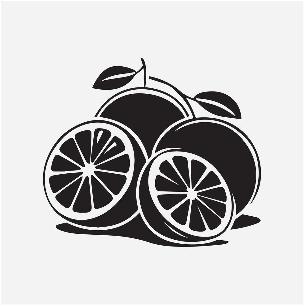 Grapefruit art illustration on a white background vector