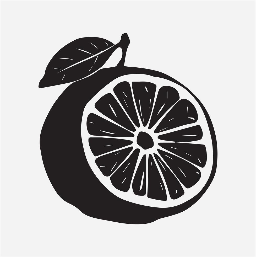 Grapefruit art illustration on a white background vector