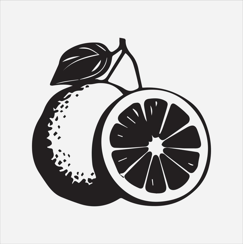 Grapefruit art illustration on a white background vector