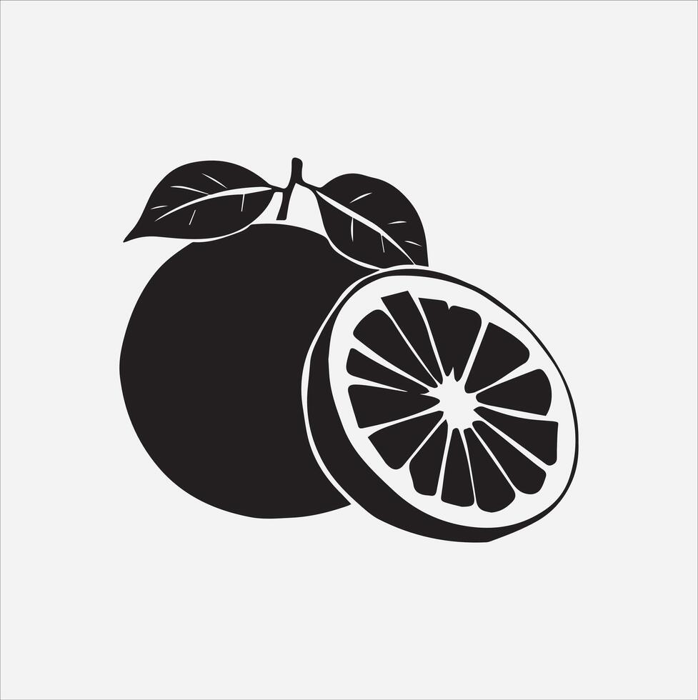 Grapefruit art illustration on a white background vector