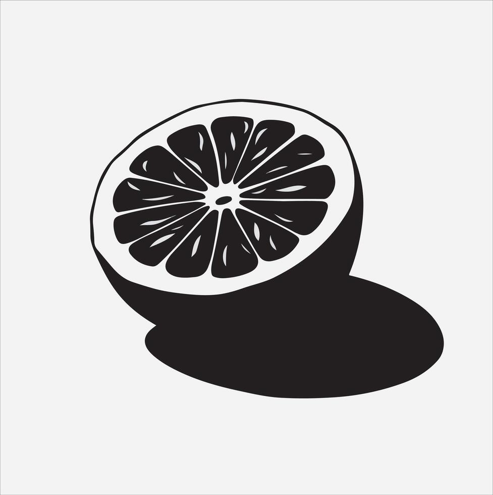Grapefruit art illustration on a white background vector
