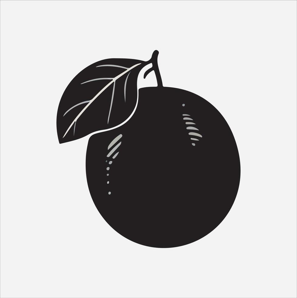 Grapefruit art illustration on a white background vector