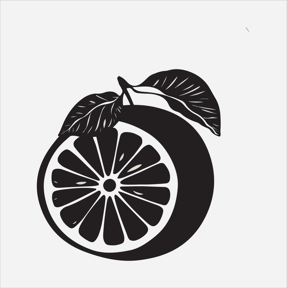 Grapefruit art illustration on a white background vector