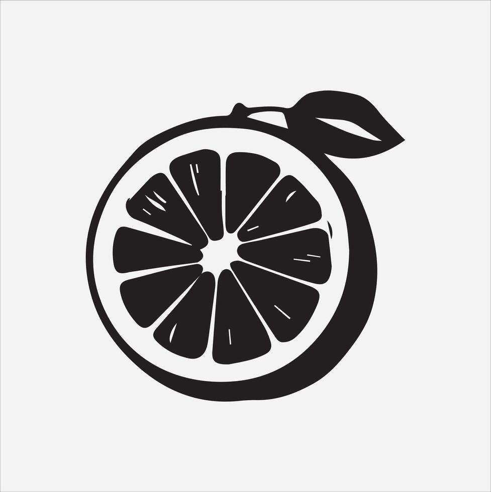 Grapefruit art illustration on a white background vector