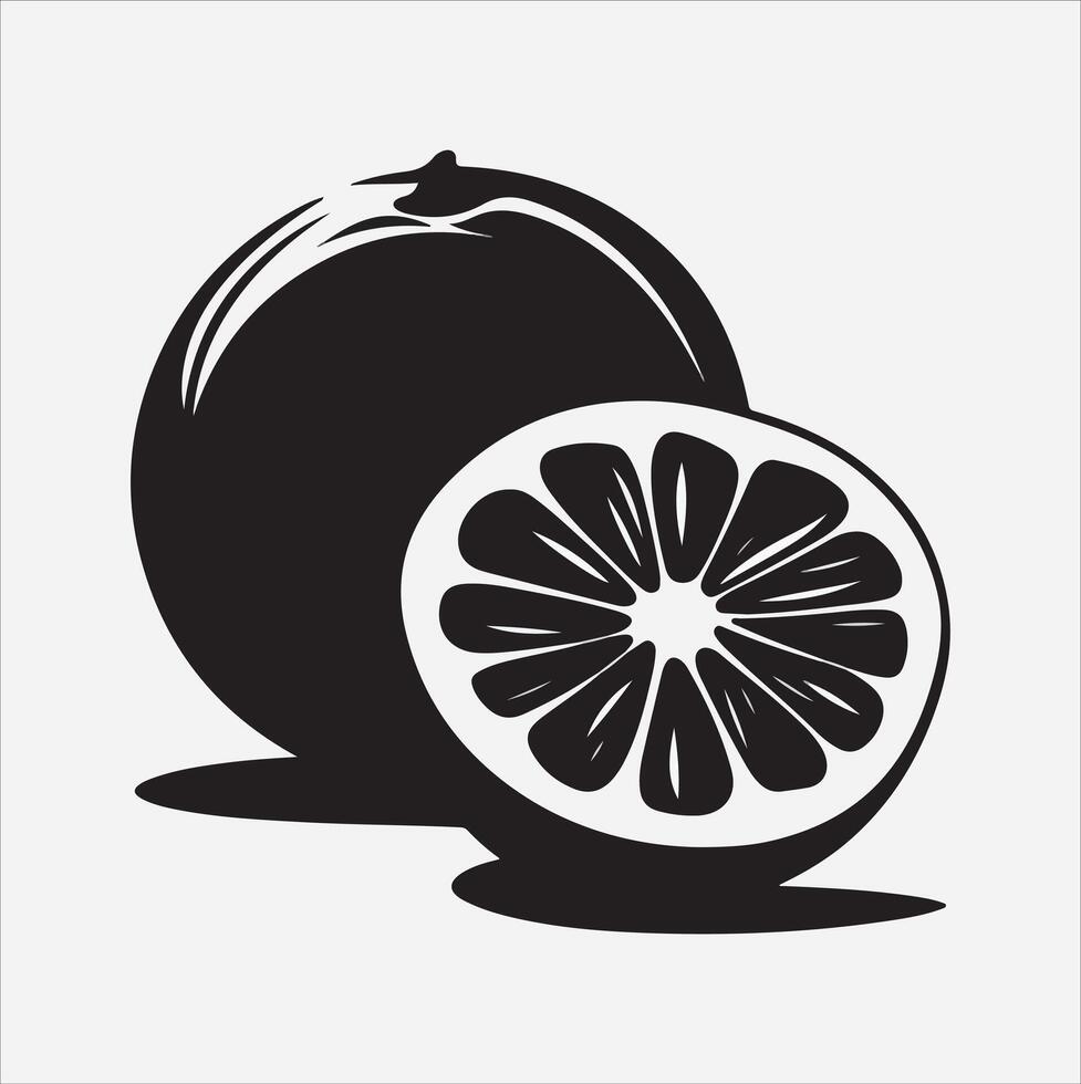 Grapefruit art illustration on a white background vector