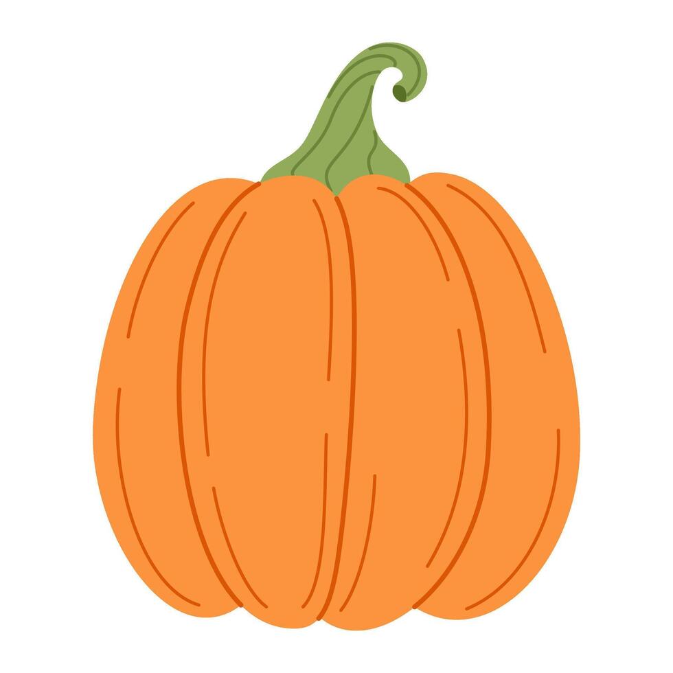 Ripe orange pumpkin. Hand drawn trendy flat style isolated on transparent background. Organic food, Autumn Harvest, Thanksgiving, halloween concept. Healthy vegetarian menu illustration vector