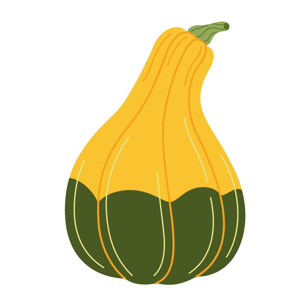 Ripe yellow green pumpkin. Hand drawn trendy flat style isolated on transparent background. Organic food, Autumn Harvest, Thanksgiving, halloween concept. Healthy vegetarian menu illustration vector