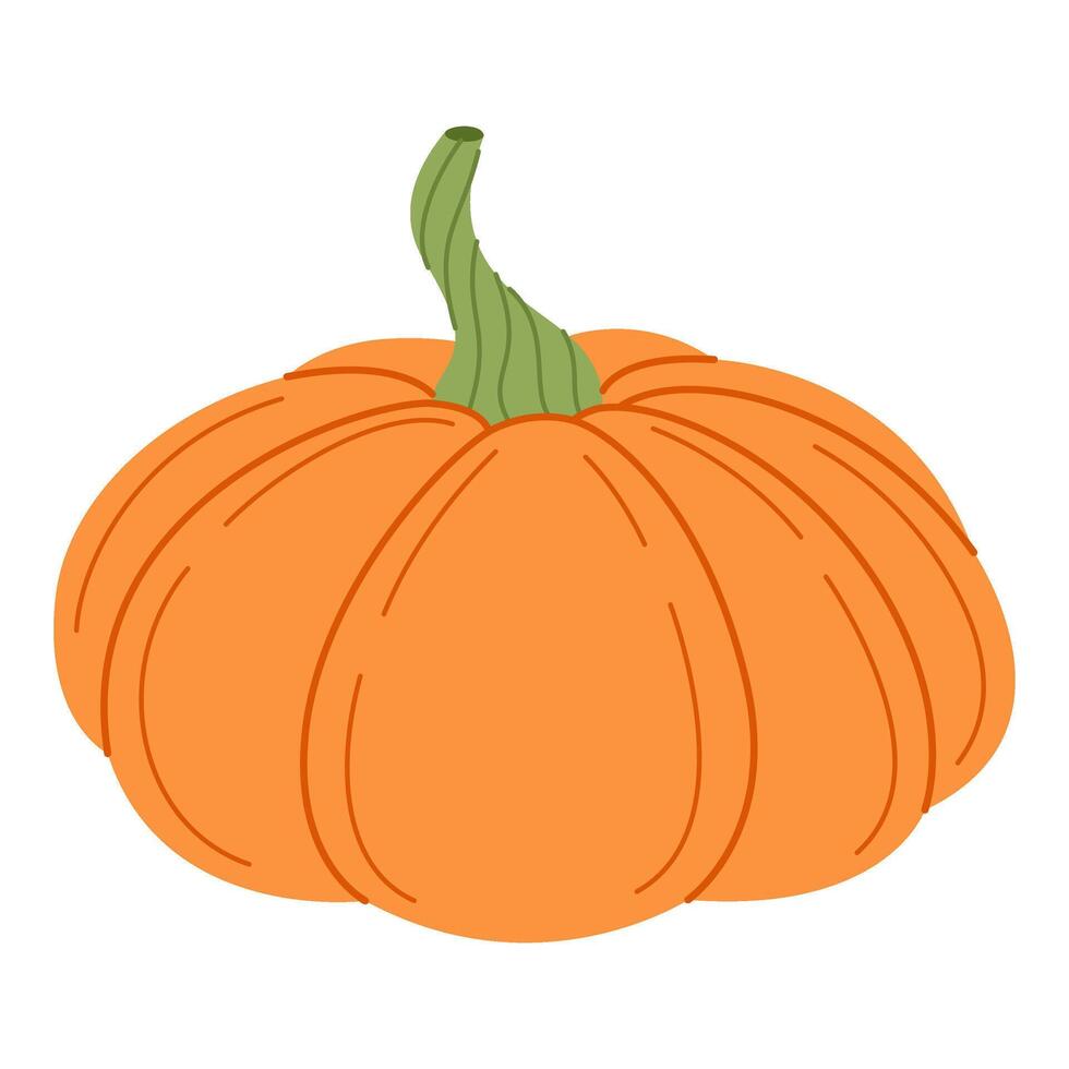 Ripe orange pumpkin. Hand drawn trendy flat style isolated on transparent background. Organic food, Autumn Harvest, Thanksgiving, halloween concept. Healthy vegetarian menu illustration vector