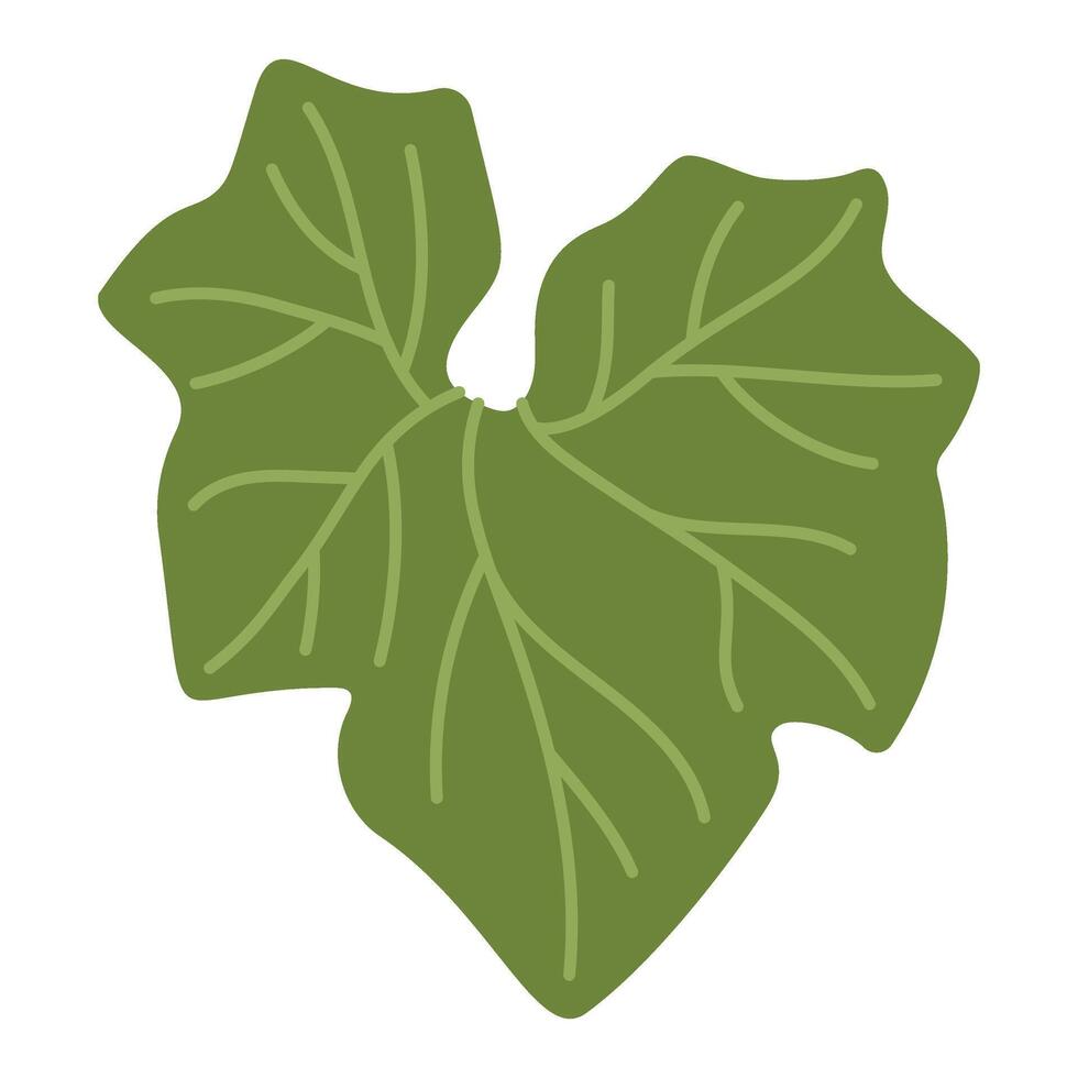 Pumpkin leaf plant. Hand drawn trendy flat style isolated on transparent background. Autumn Harvest, Thanksgiving concept illustration vector