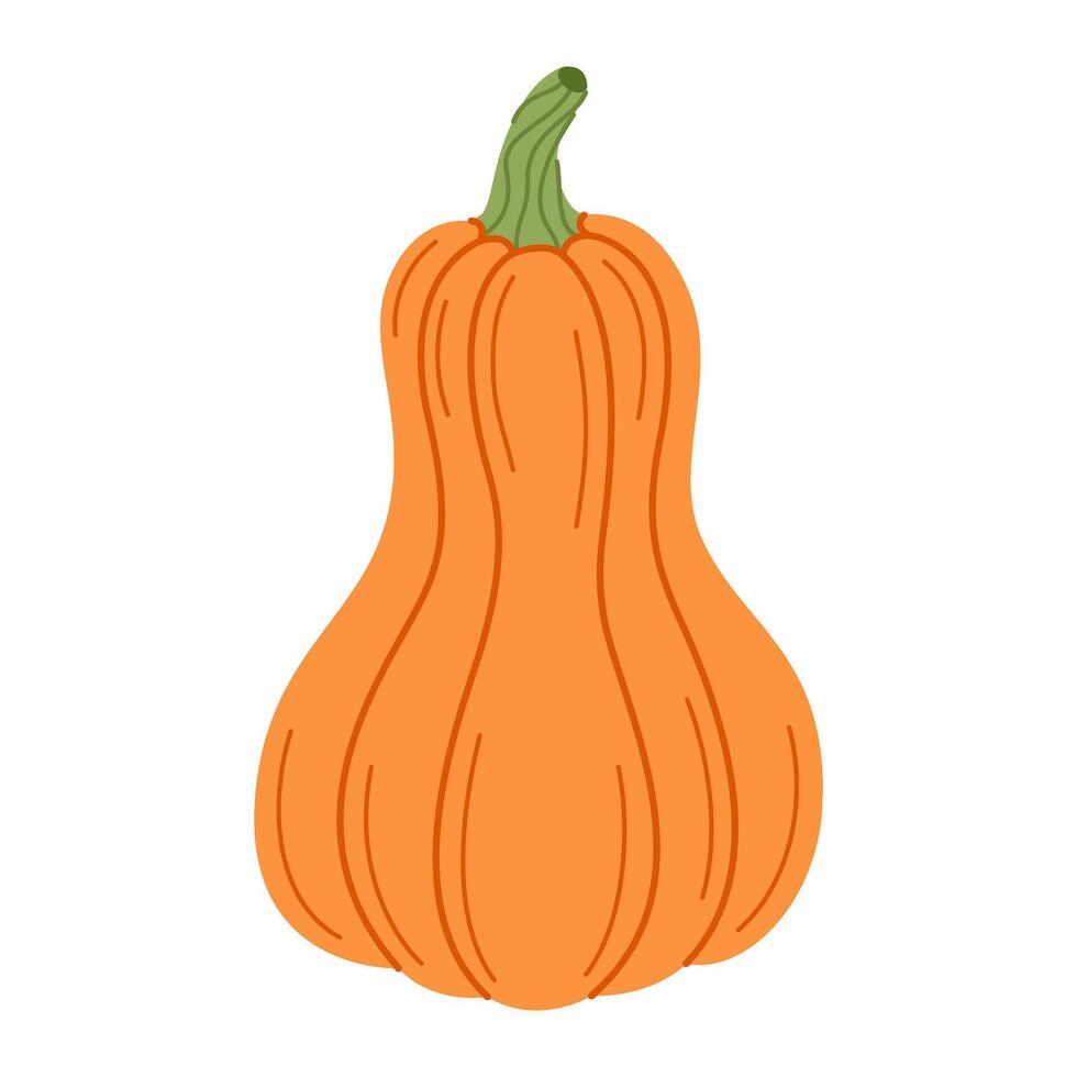 Ripe orange pumpkin. Hand drawn trendy flat style isolated on transparent background. Organic food, Autumn Harvest, Thanksgiving, halloween concept. Healthy vegetarian menu illustration vector