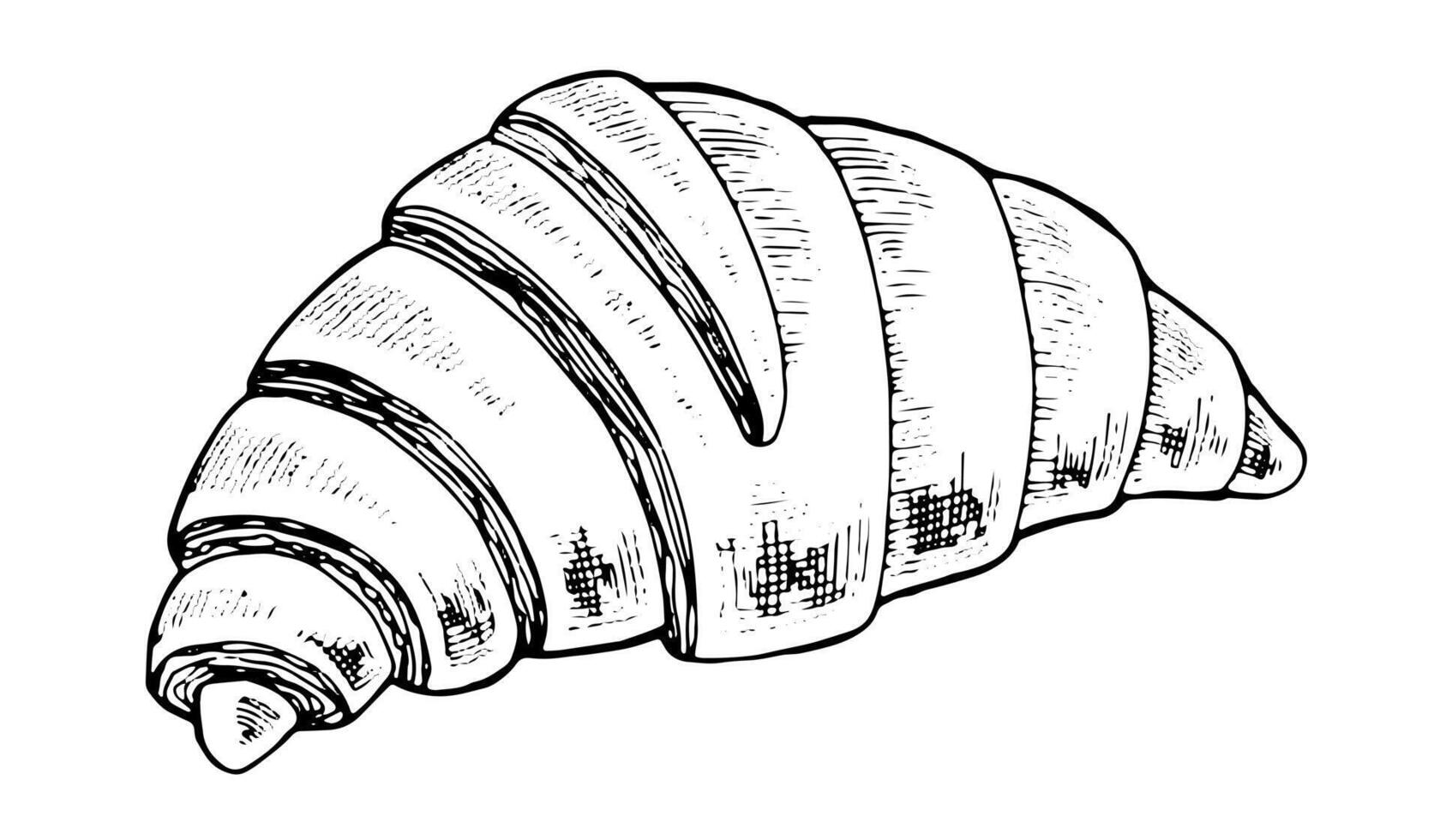 Croissant hand drawn illustration. Food sketch drawing. Vintage white and black line art on background. Clipart of breakfast bun for graphic design. Bakery elements for prints and tags vector