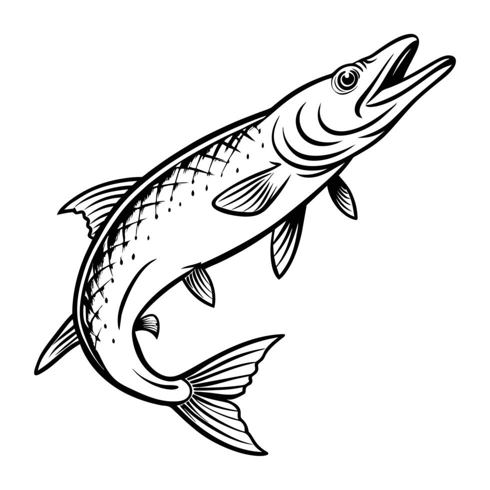 Fish Art Illustration vector