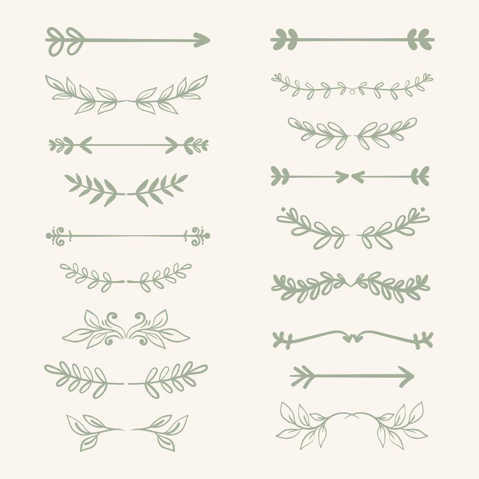 Modern hand draw decorative laurel and floral swirls and text dividers collection vector