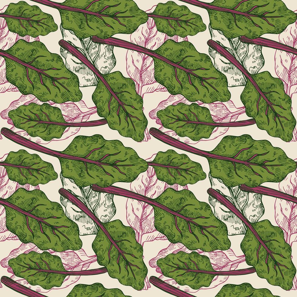 Chard seamless pattern with hand drawn Mangold lettuce plant. Floral repeating background with engraved leaves.Vegetarian vegetable food. For card, design, textile, wrapping, sign, paper, label vector