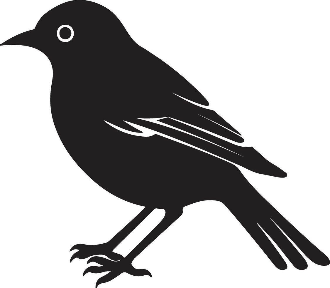 Bulbul Bird Silhouette Illustration White Background vector