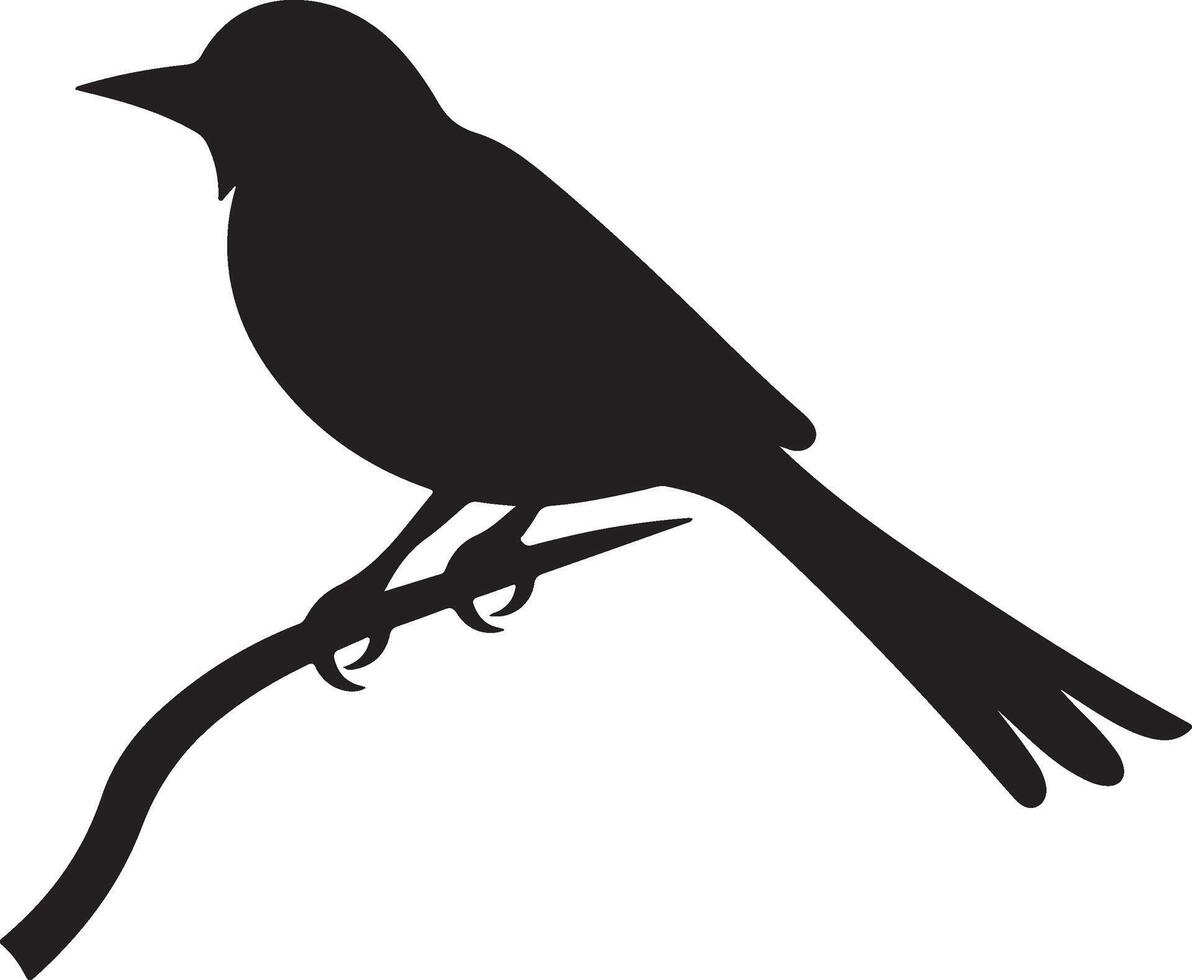 Bulbul Bird Silhouette Illustration White Background vector