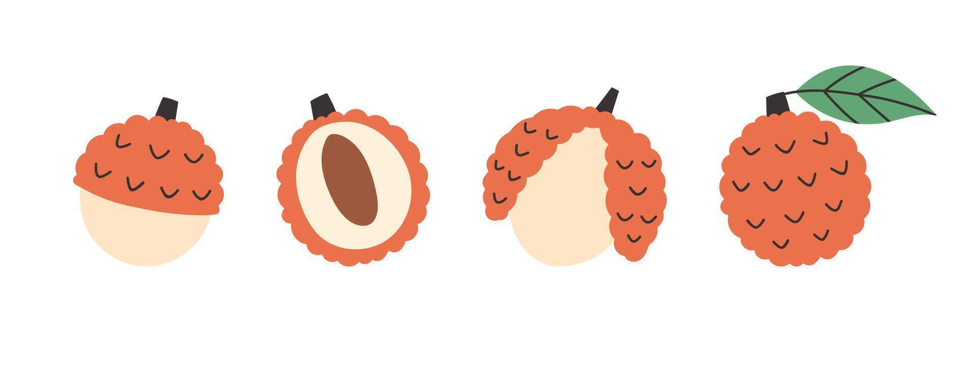 Set of abstract lychee. Simple lychee. Tropical fruit collection design for interior, poster, banner. vector