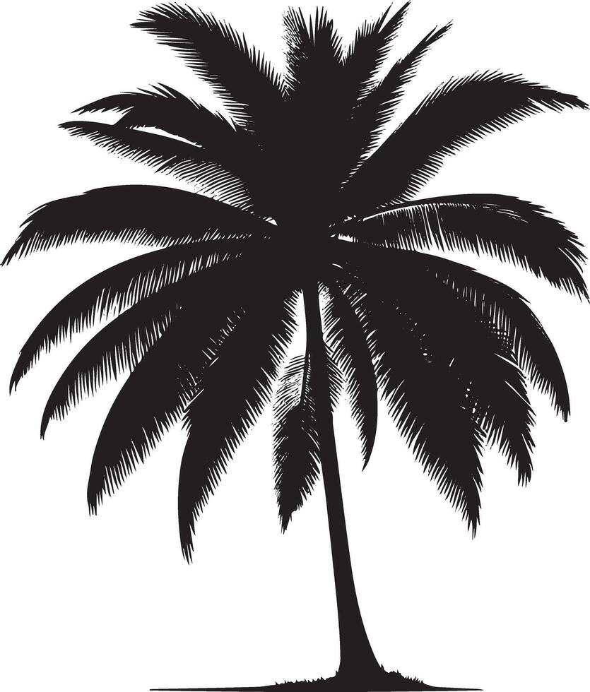 Palm tree silhouette vector