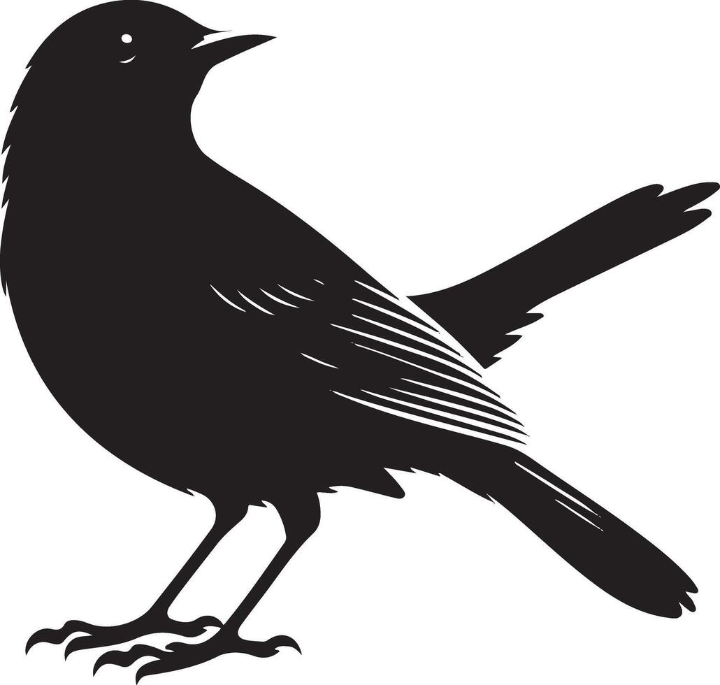 Bird silhouette illustration vector